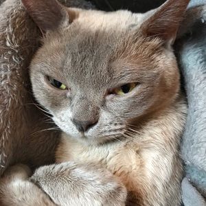 Meet your Posher, Helene